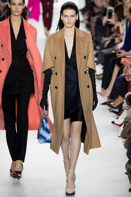 Christian Dior ruduo/žiema 2014–2015