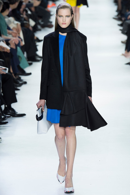 Christian Dior ruduo/žiema 2014–2015