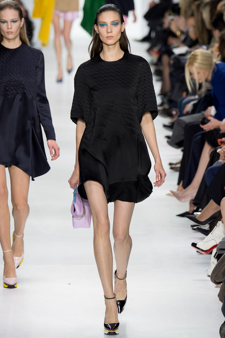 Christian Dior ruduo/žiema 2014–2015