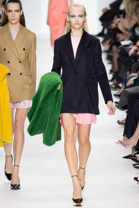 Christian Dior ruduo/žiema 2014–2015