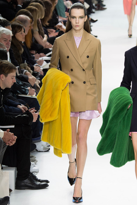 Christian Dior ruduo/žiema 2014–2015