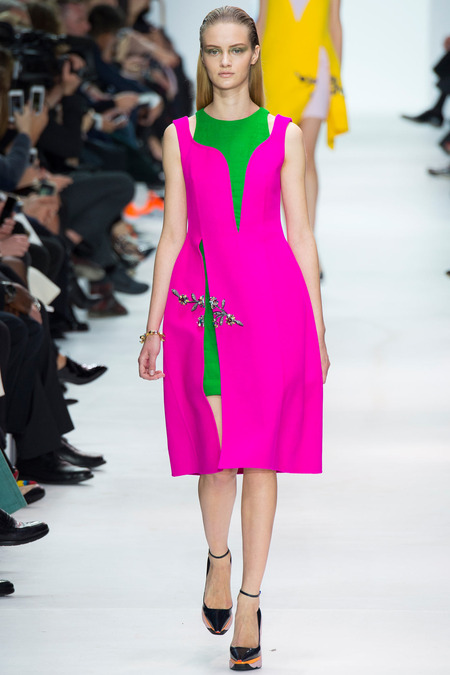 Christian Dior ruduo/žiema 2014–2015