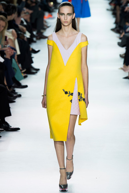 Christian Dior ruduo/žiema 2014–2015