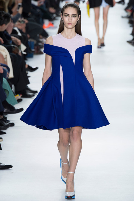 Christian Dior ruduo/žiema 2014–2015