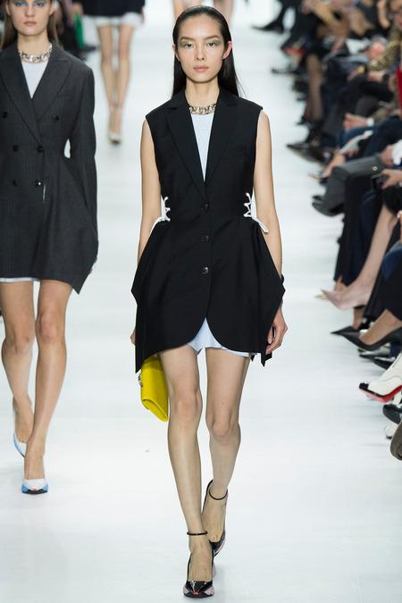 Christian Dior ruduo/žiema 2014–2015