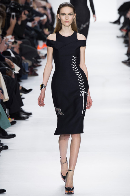 Christian Dior ruduo/žiema 2014–2015