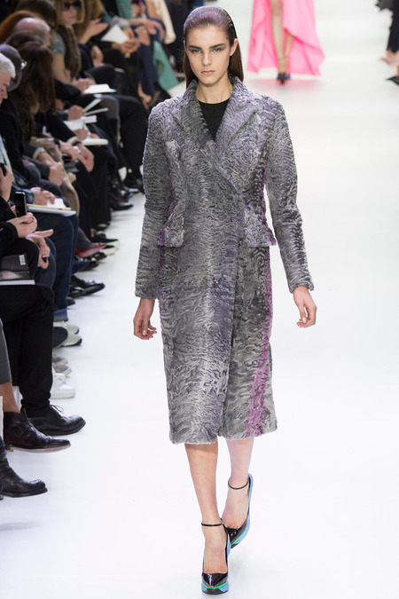 Christian Dior ruduo/žiema 2014–2015