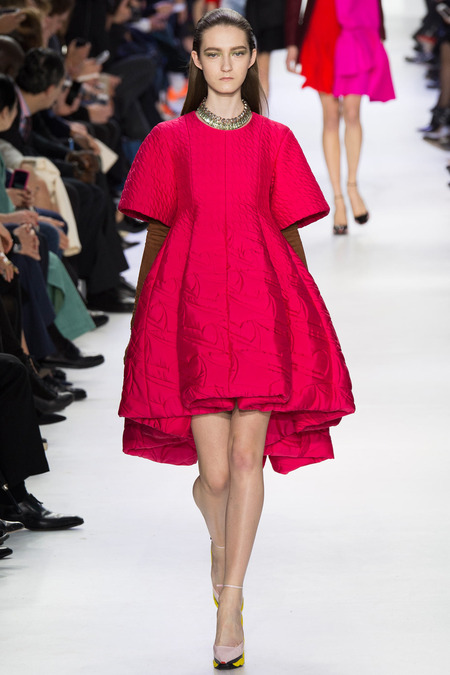 Christian Dior ruduo/žiema 2014–2015