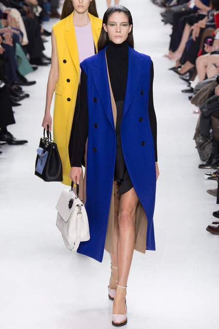 Christian Dior ruduo/žiema 2014–2015