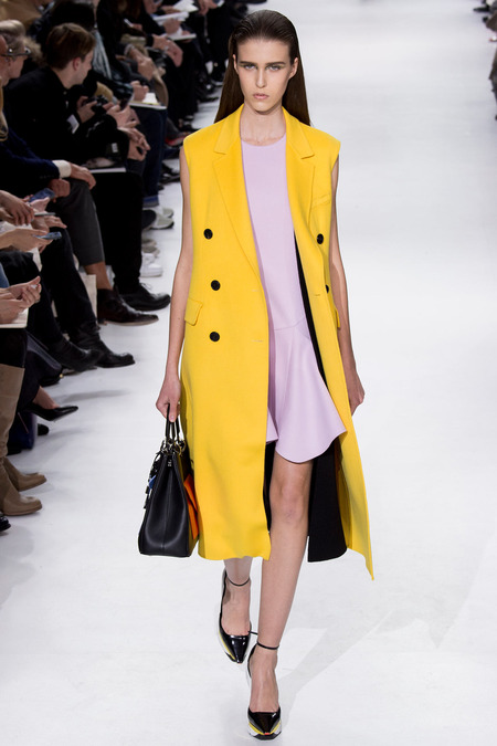 Christian Dior ruduo/žiema 2014–2015