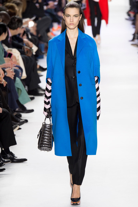 Christian Dior ruduo/žiema 2014–2015