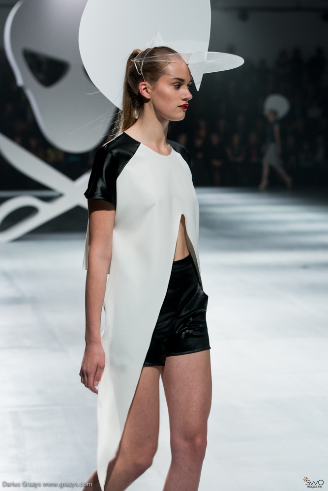 Laura Dailidėnienė SS 2013