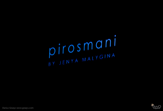 Pirosmani by Jenya Malygina FW 12/13 (Rusija)