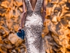 Robert Kalinkin SS13