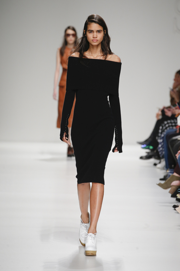 Sportmax FW 2015–2016