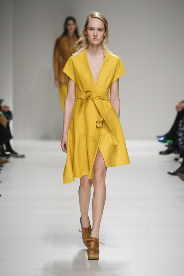 Sportmax FW 2015–2016