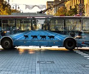 „Vilnius Street Art“ neapsiėjo be katinukų istorijos