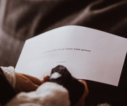 Sienų užrašai, pavirtę į poeziją