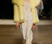 Ilgaamžis fashionistų kompanionas