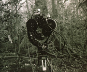 Danielio Steegmanno Mangrané filmų peržiūros