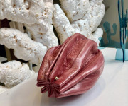 SwO savaitės rekomendacijos