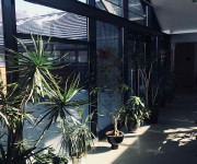 Nida – vieta, kur laikas skaičiuojamas vėjais