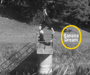 Amerikietišką svajonę pakeitė lietuviški bananai