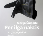 Marija Šnipaitė – „Per ilga naktis“