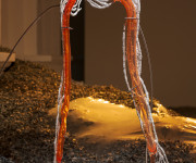 „Uždegimo“ paveikti