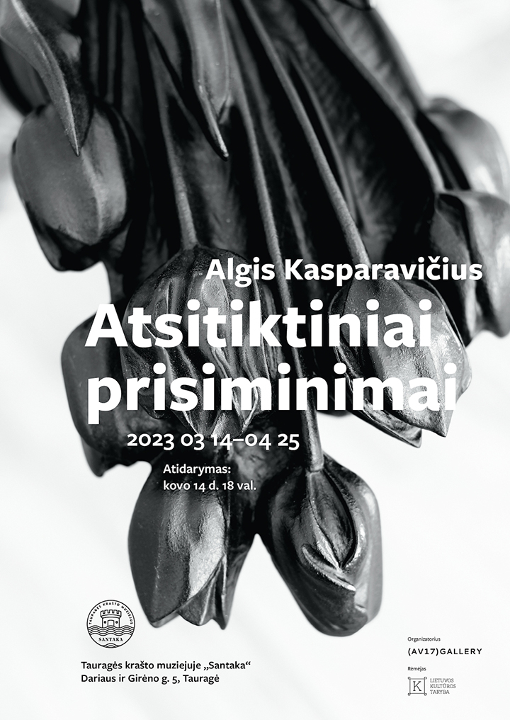 Algis Kasparavičius – „Atsitiktiniai prisiminimai“