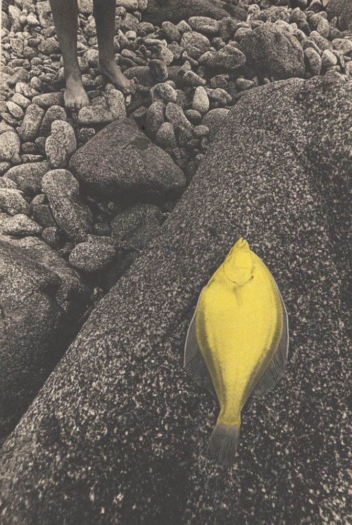 Virgilijaus Šontos retrospektyva Nacionalinėje dailės galerijoje 