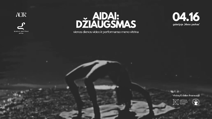 Kaune – vienos dienos vizualaus meno vitrina